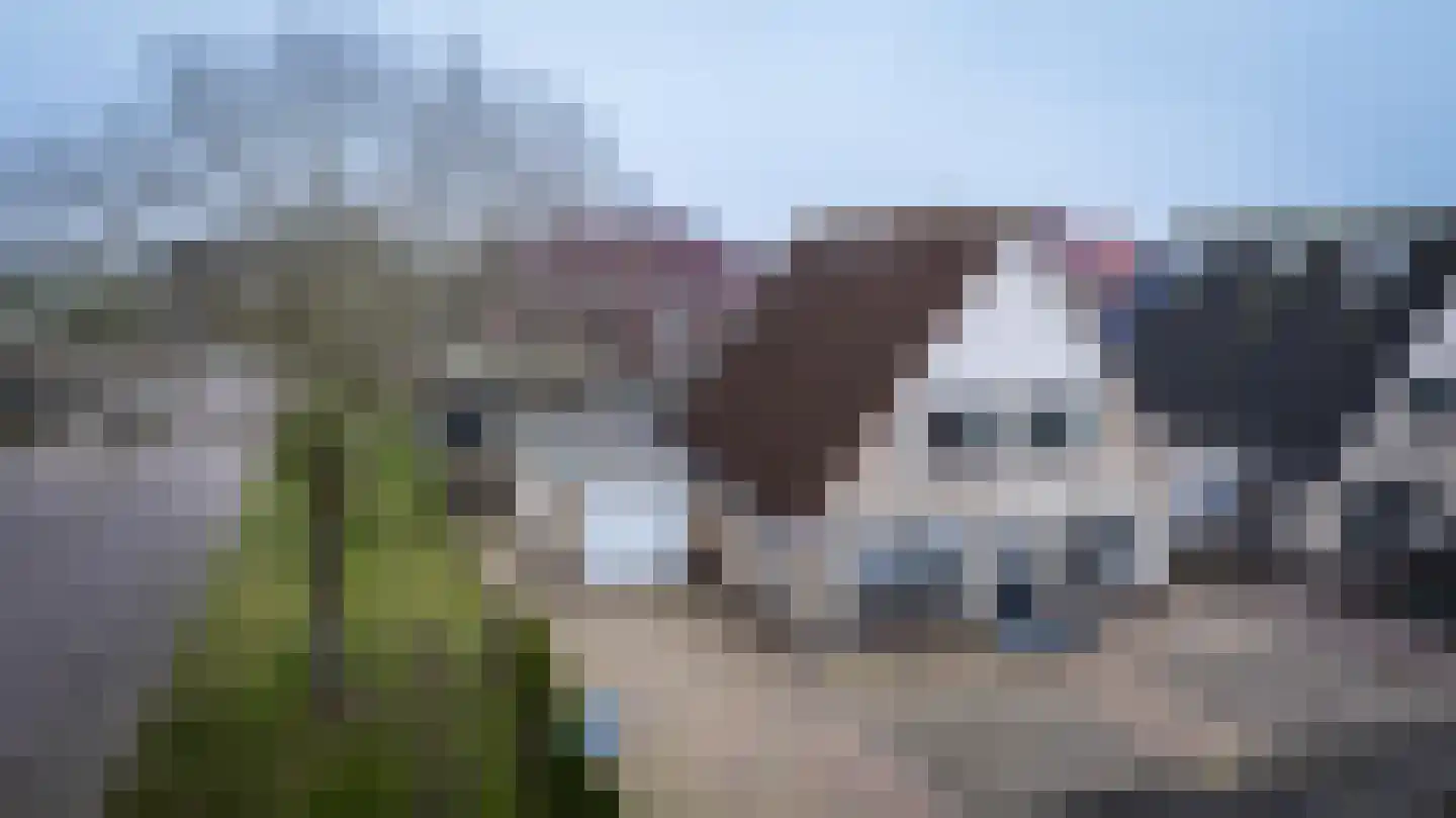 Hartkamp 1 Blokzijl thumbnail 37