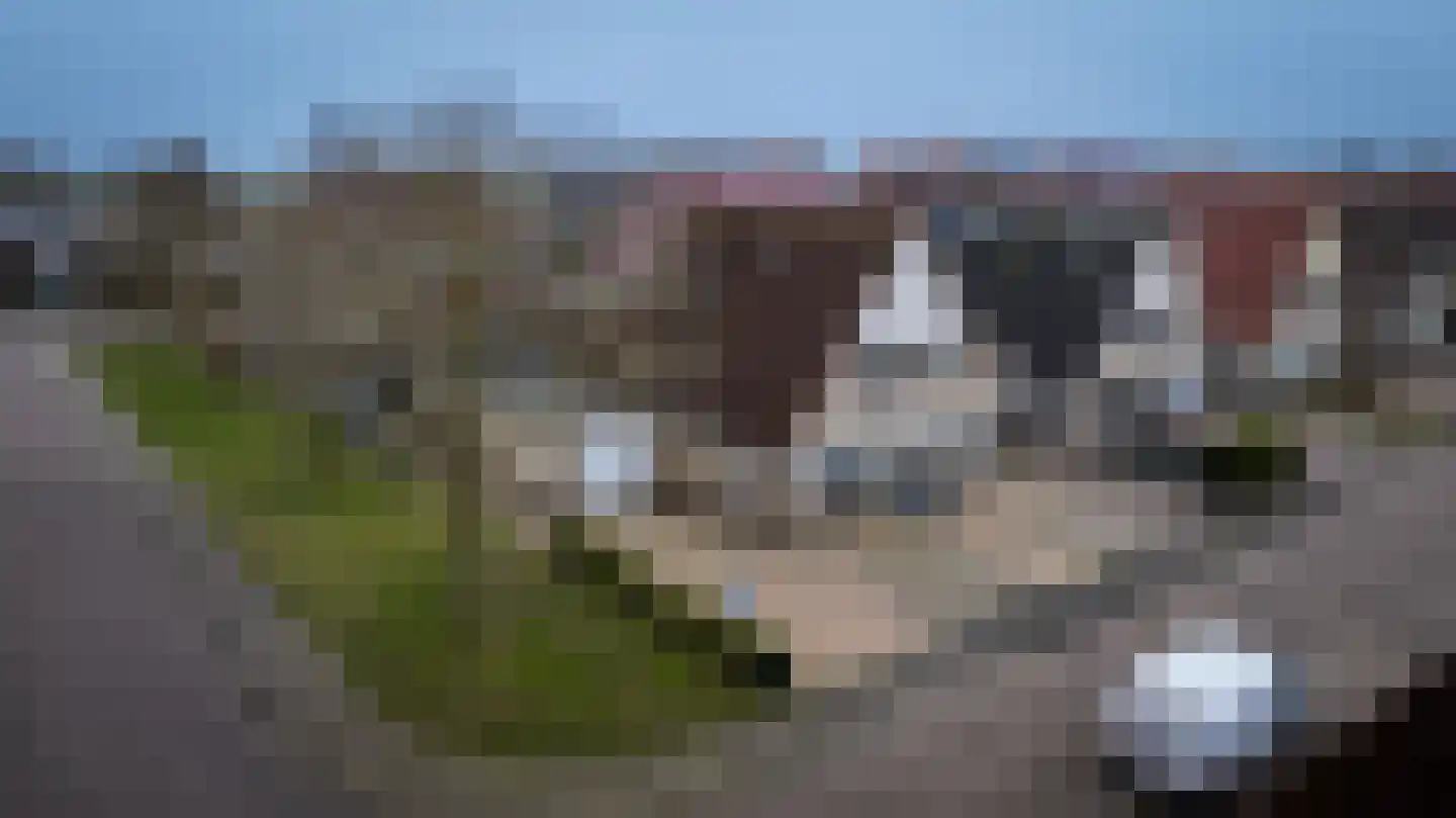 Hartkamp 1 Blokzijl thumbnail 38