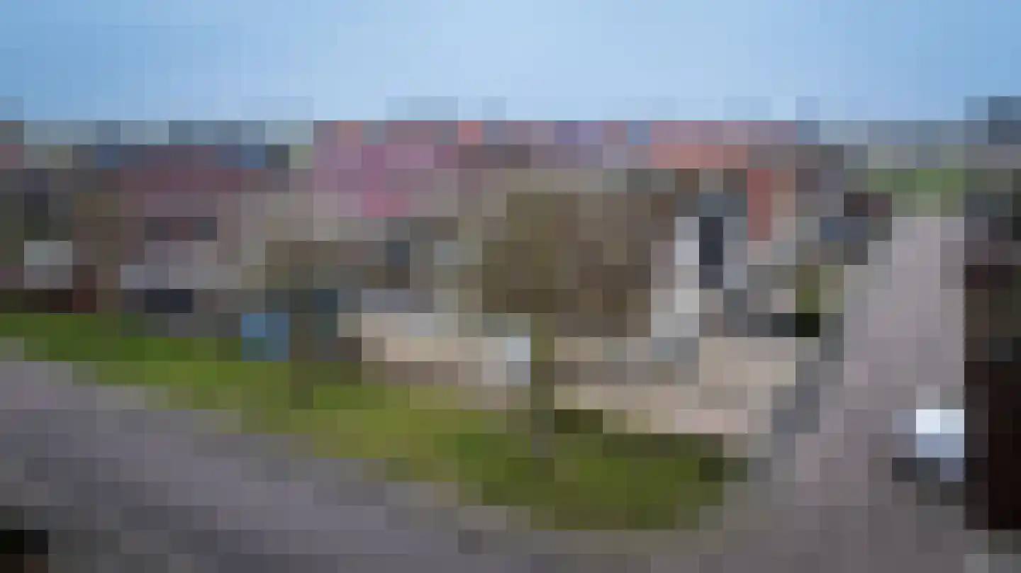 Hartkamp 1 Blokzijl thumbnail 39