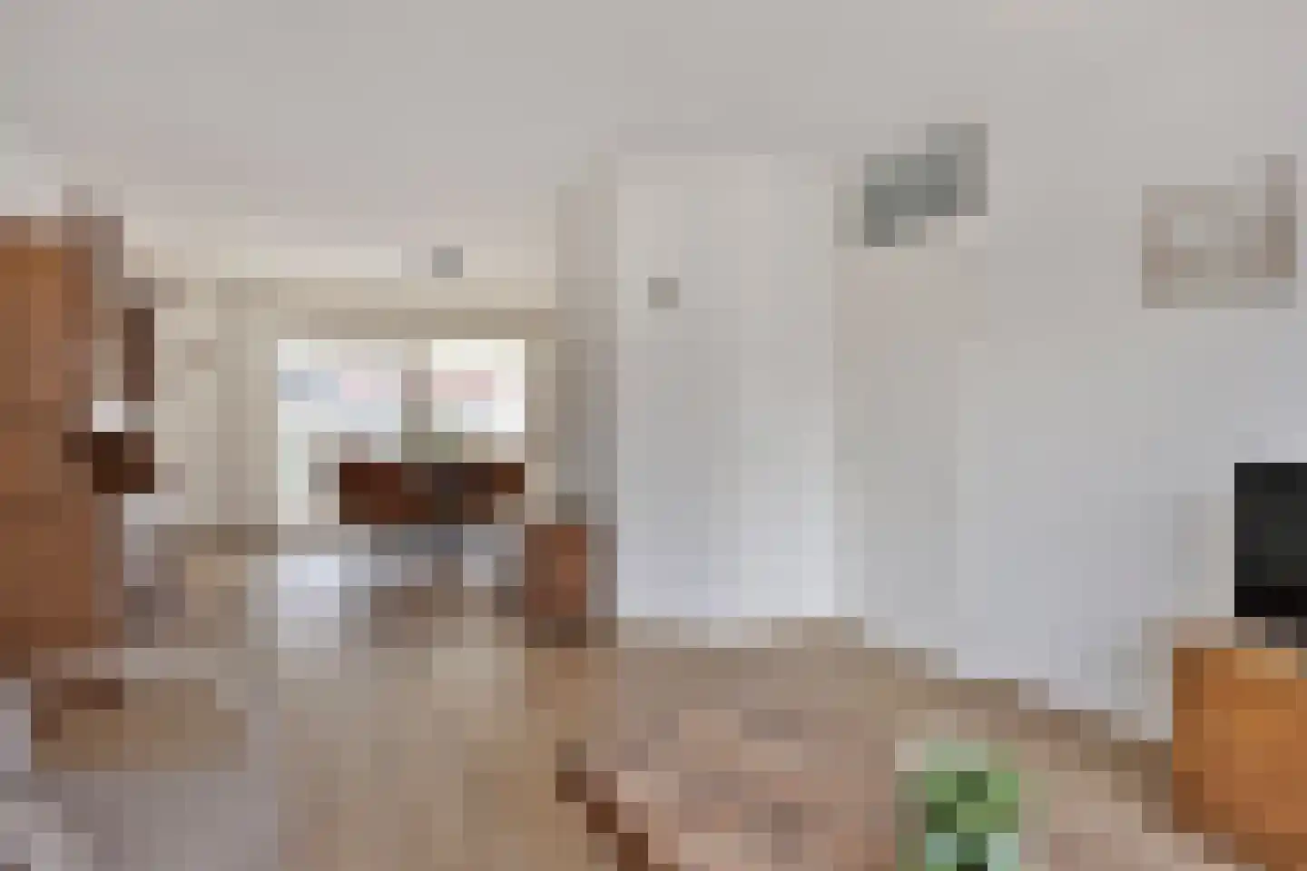 Hartkamp 1 Blokzijl thumbnail 4