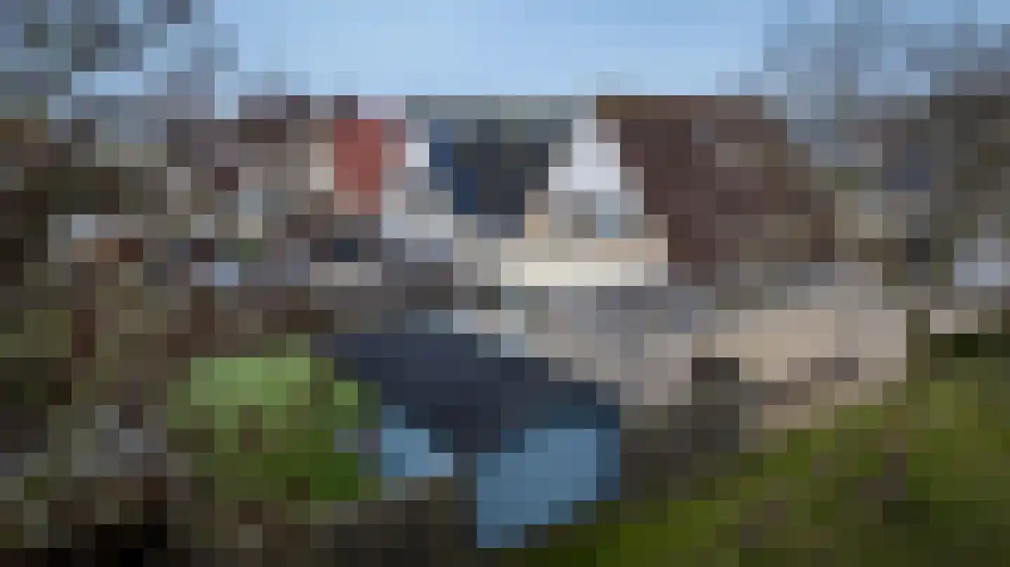 Hartkamp 1 Blokzijl thumbnail 41