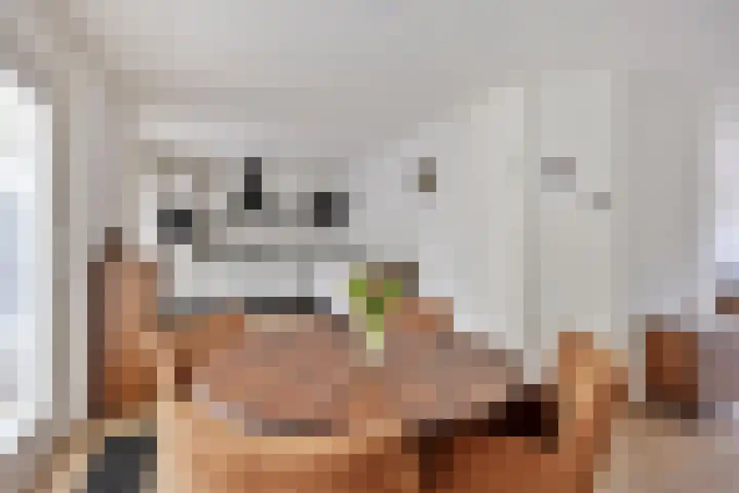 Hartkamp 1 Blokzijl thumbnail 7