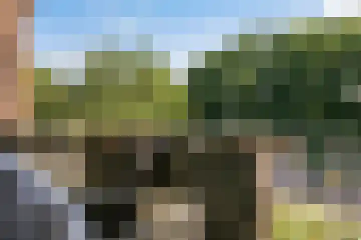 Hartkampweg 1 Raalte thumbnail 9
