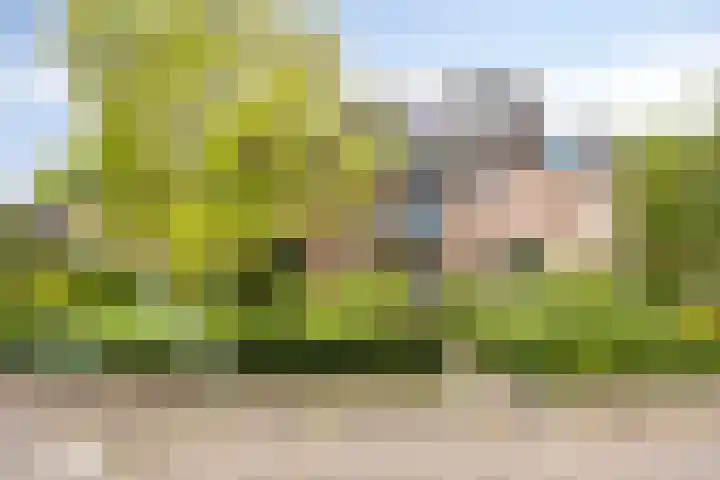 Hartkampweg 124 B Raalte thumbnail 7