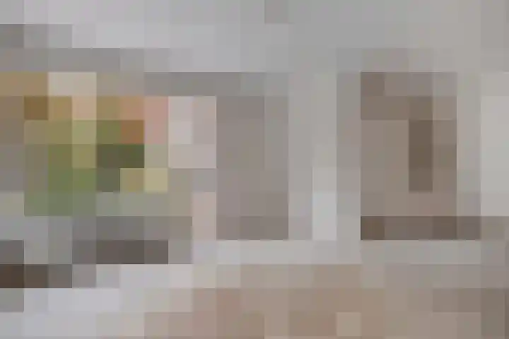 Hartkampweg 25 Raalte thumbnail 4