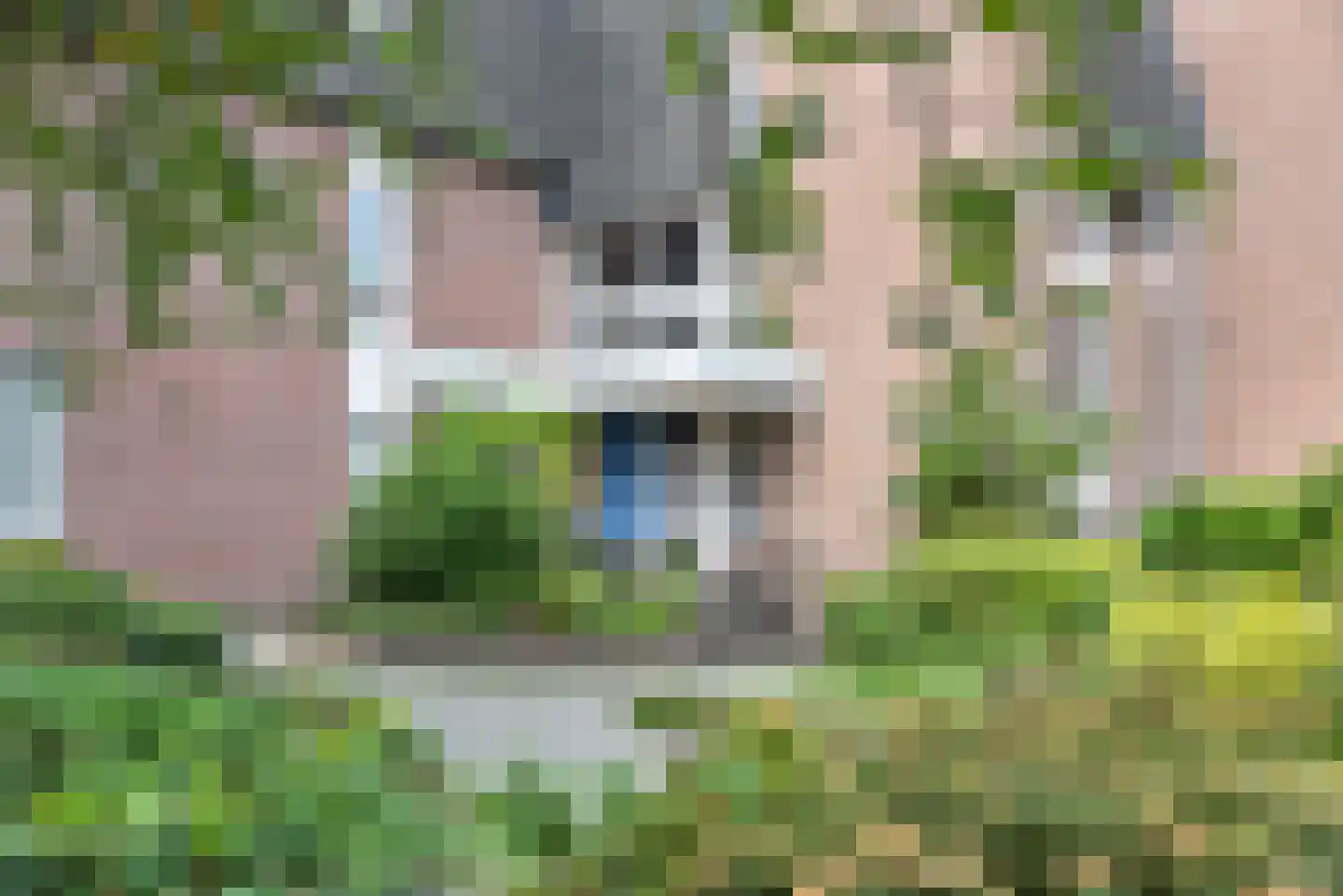 Hartkampweg 5 Raalte thumbnail 20
