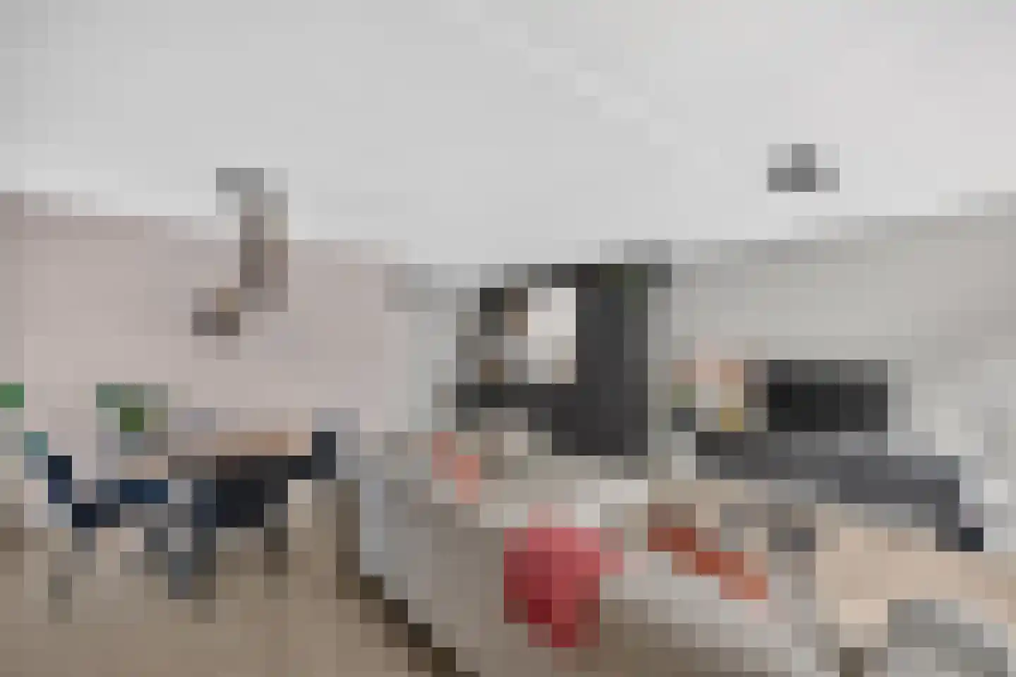 Hartkampweg 5 Raalte thumbnail 7