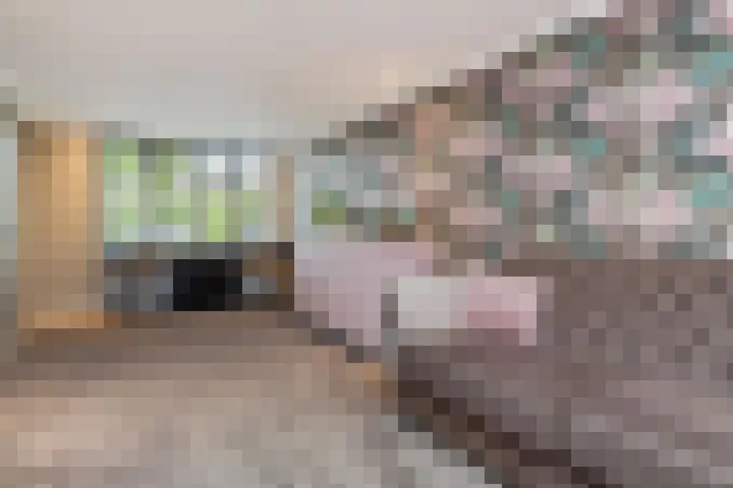 Hartkampweg 87 Raalte thumbnail 17