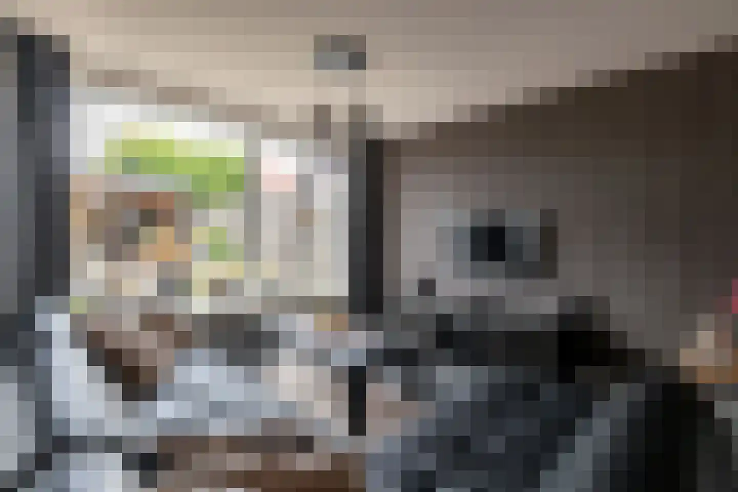 Hartkampweg 87 Raalte thumbnail 5