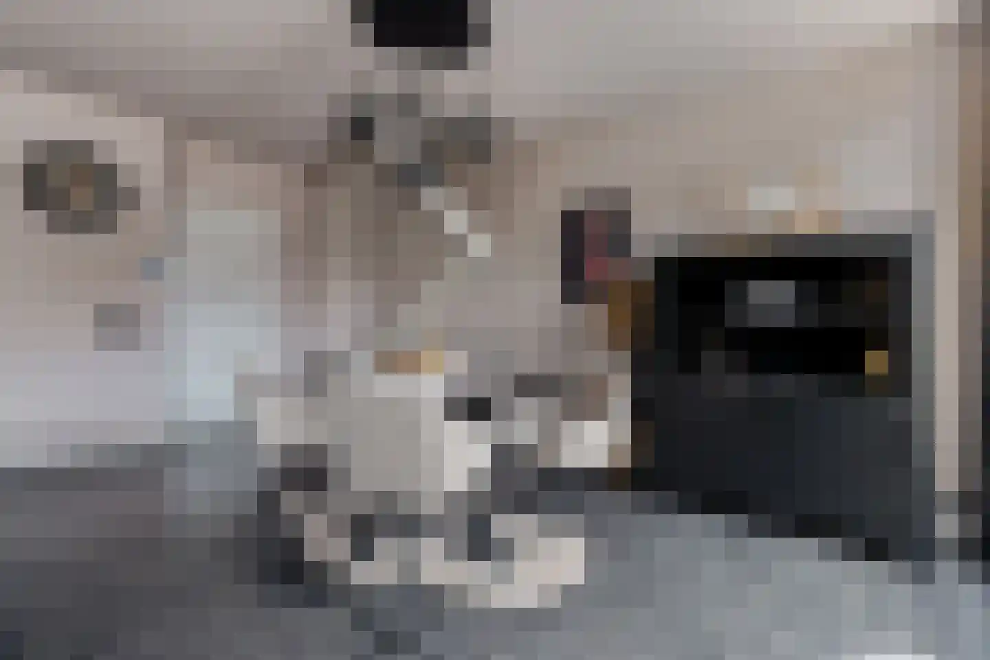 Hartkampweg 87 Raalte thumbnail 9