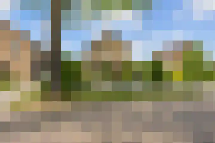 Hartman Sannesstraat 4 St.-Annaparochie thumbnail 57