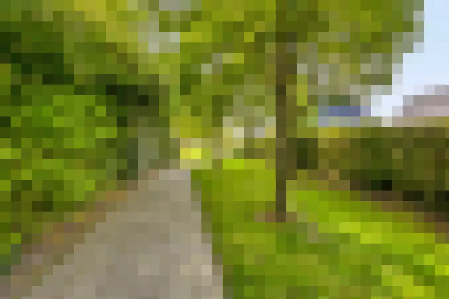 Hartman Sannesstraat 8 B St.-Annaparochie thumbnail 31
