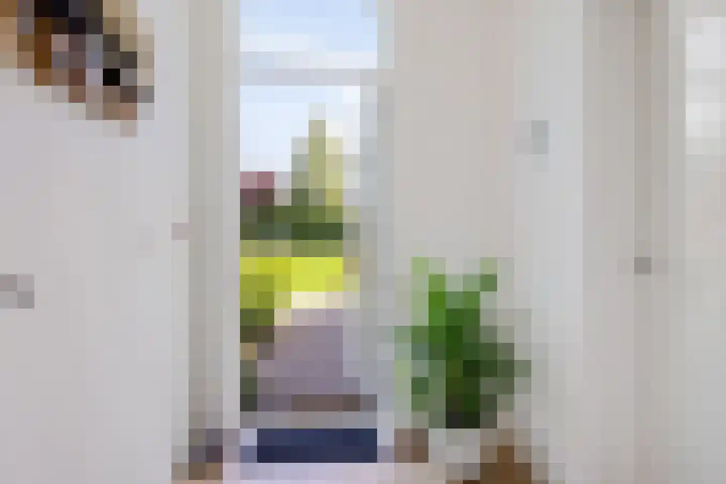 Hartman Sannesstraat 8 St.-Annaparochie thumbnail 8
