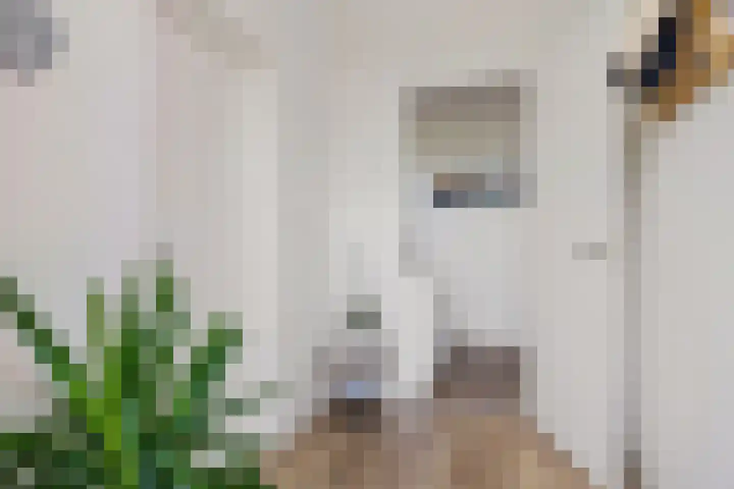 Hartman Sannesstraat 8 St.-Annaparochie thumbnail 9