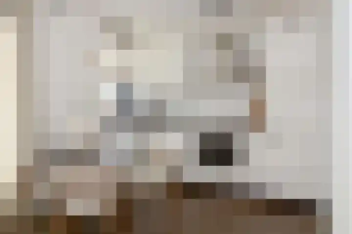 Hartmanskamp 8 Bunschoten-Spakenburg thumbnail 5