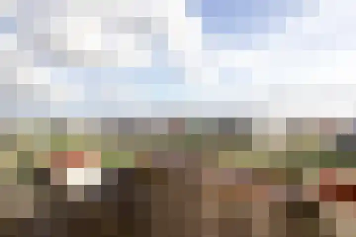 Hartmanskamp 8 Bunschoten-Spakenburg thumbnail 8
