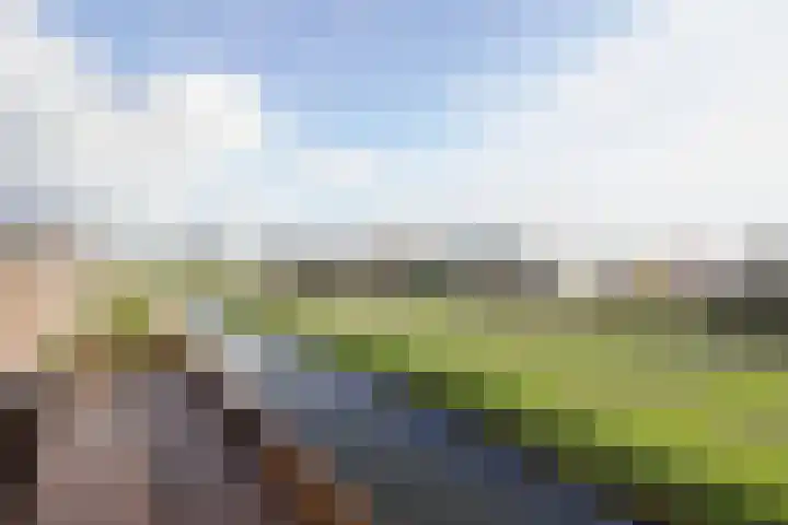 Hartmanskamp 8 Bunschoten-Spakenburg thumbnail 9
