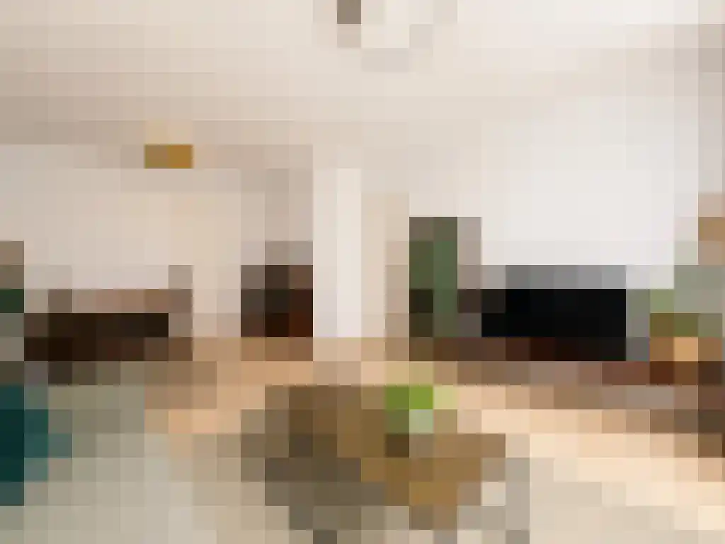 Hartmansstraat 24 Rotterdam thumbnail 5