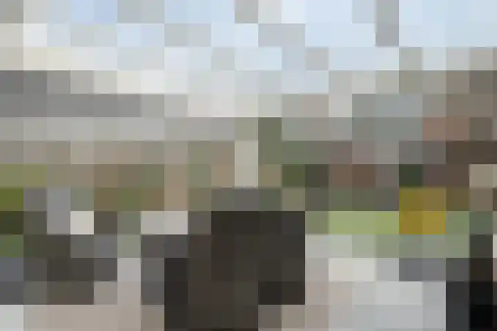 Hartmanstraat 15 Langeveen thumbnail 23