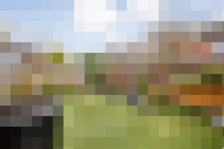 Hartmanstraat 15 Langeveen thumbnail 25