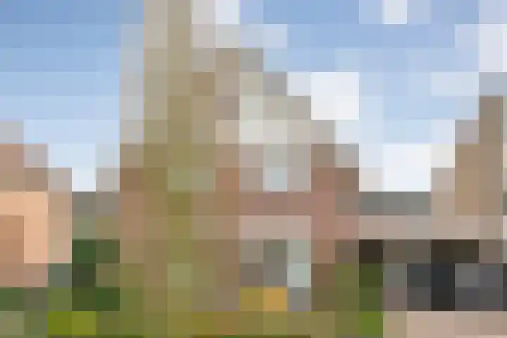 Hartmanstraat 15 Langeveen thumbnail 27