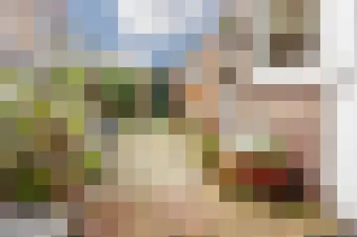 Hartmanstraat 17 Leiden thumbnail 16