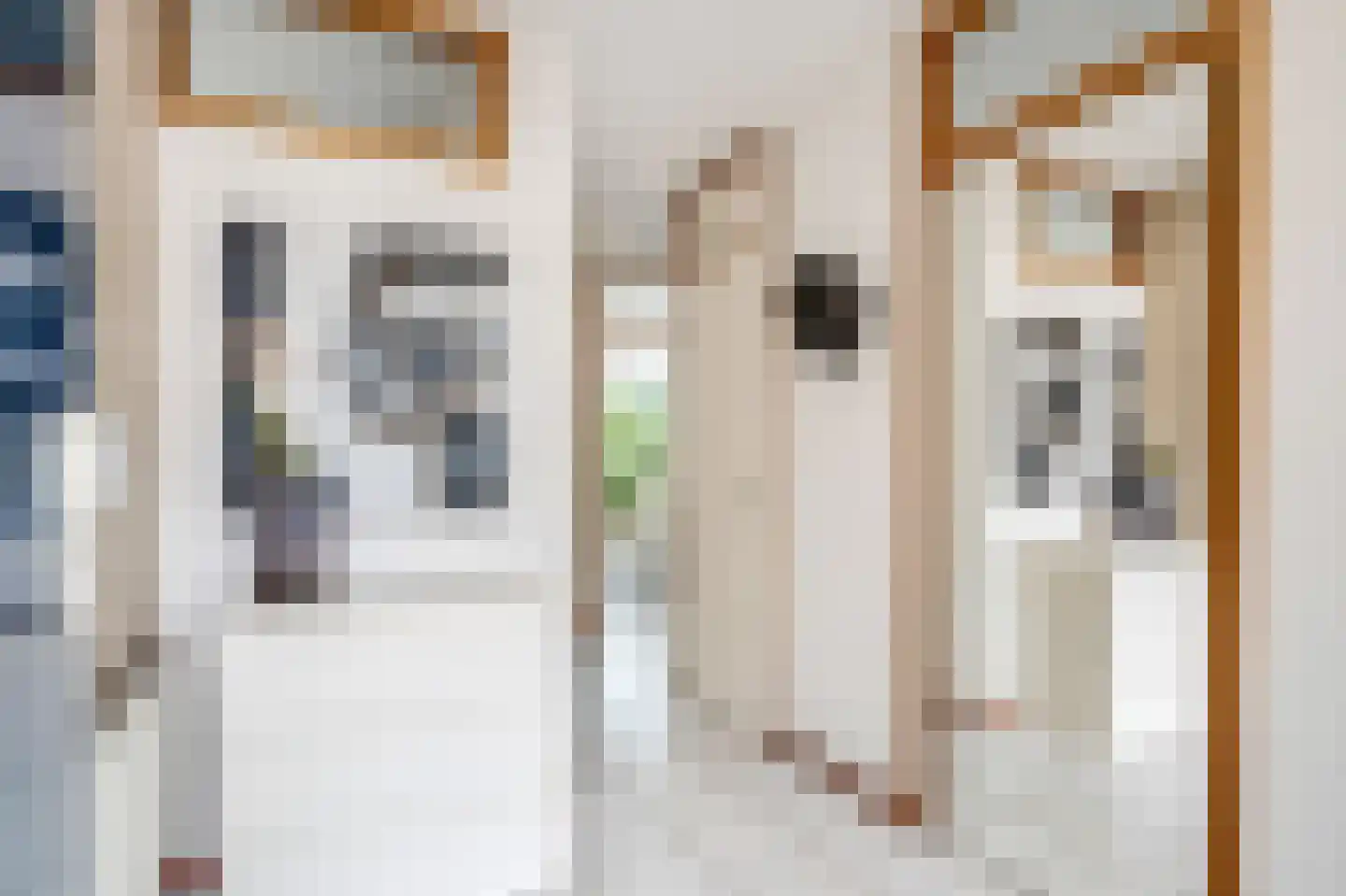 Hartog Stibbestraat 1 Zwolle thumbnail 11