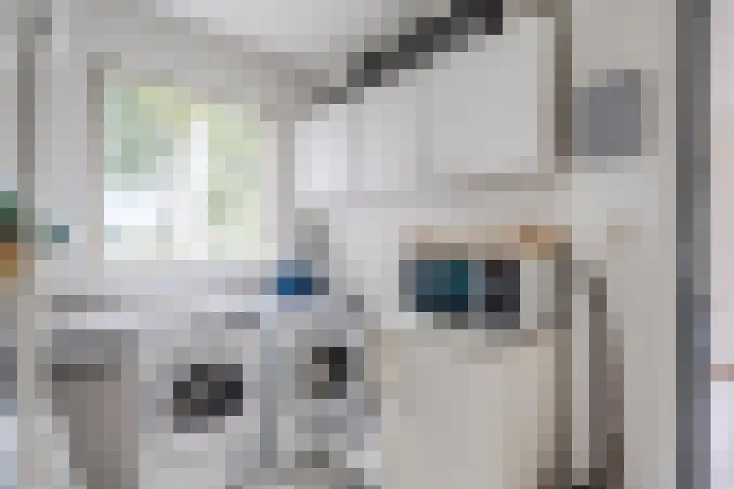 Hartog Stibbestraat 1 Zwolle thumbnail 24
