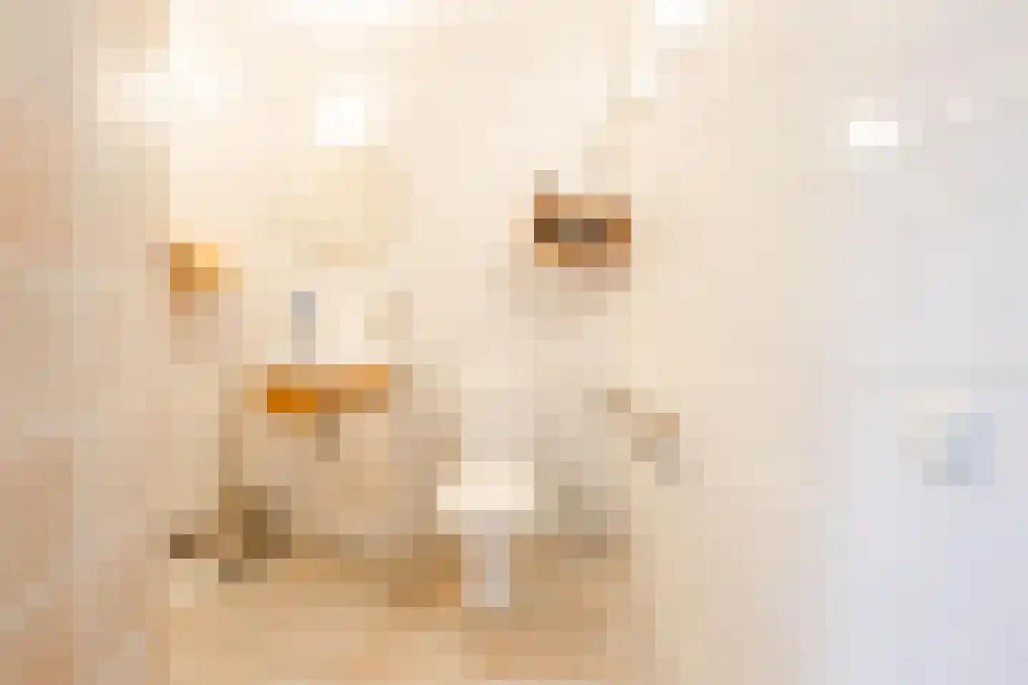 Hartog Stibbestraat 1 Zwolle thumbnail 31