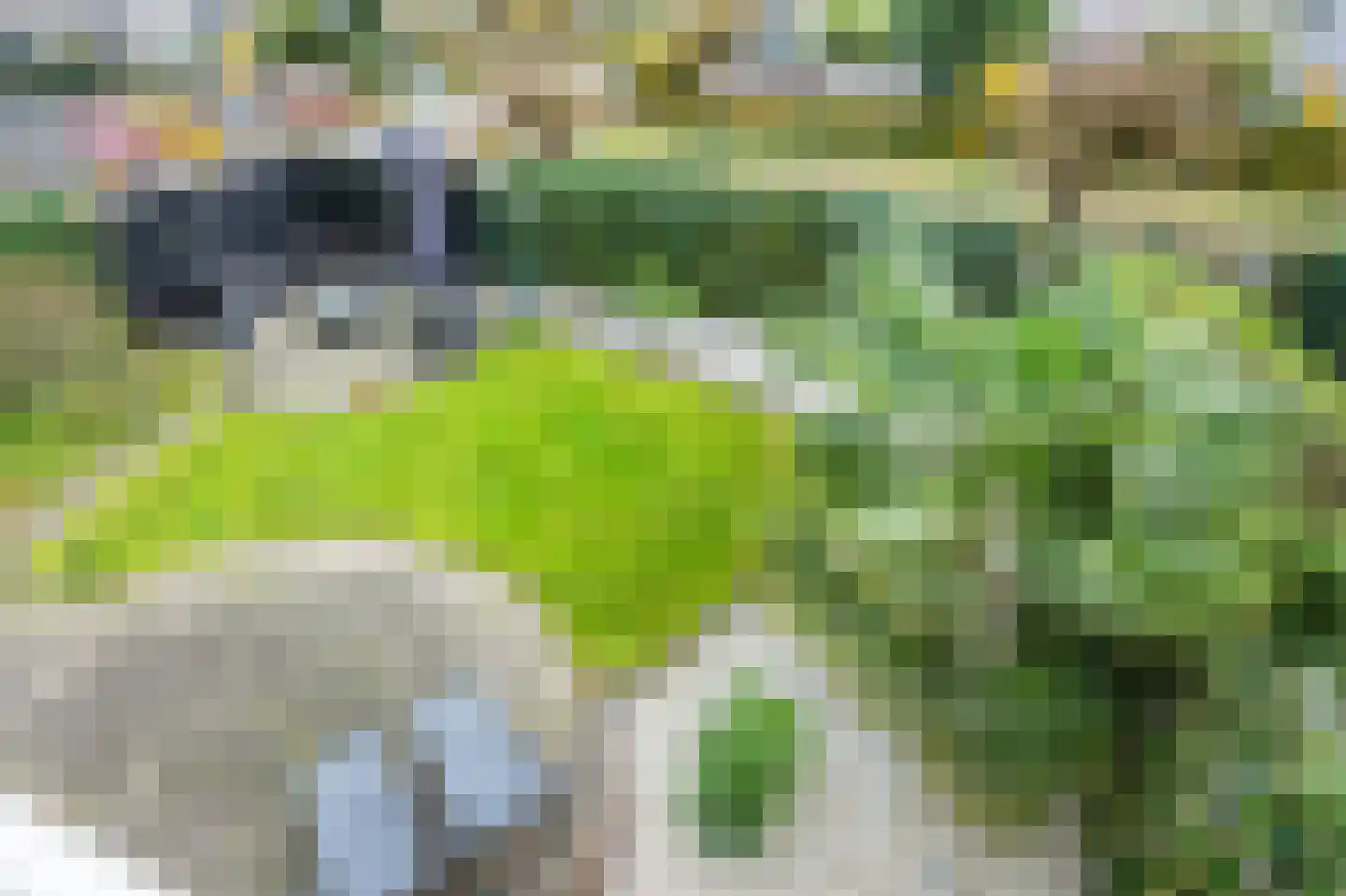 Hartog Stibbestraat 1 Zwolle thumbnail 37