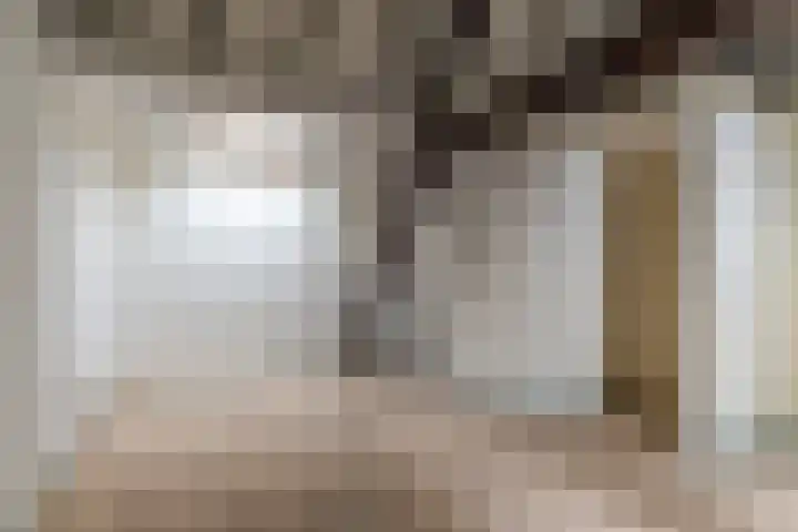 Hartogstraat 11 B Den Haag thumbnail 4