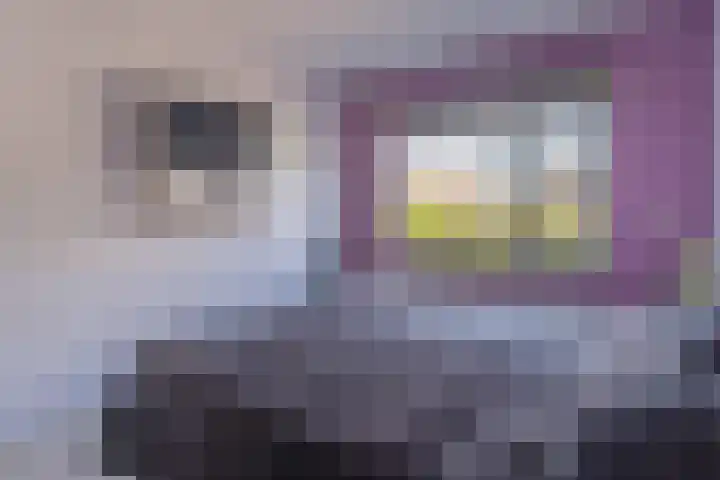 Hartoogstraat 10 Yerseke thumbnail 18