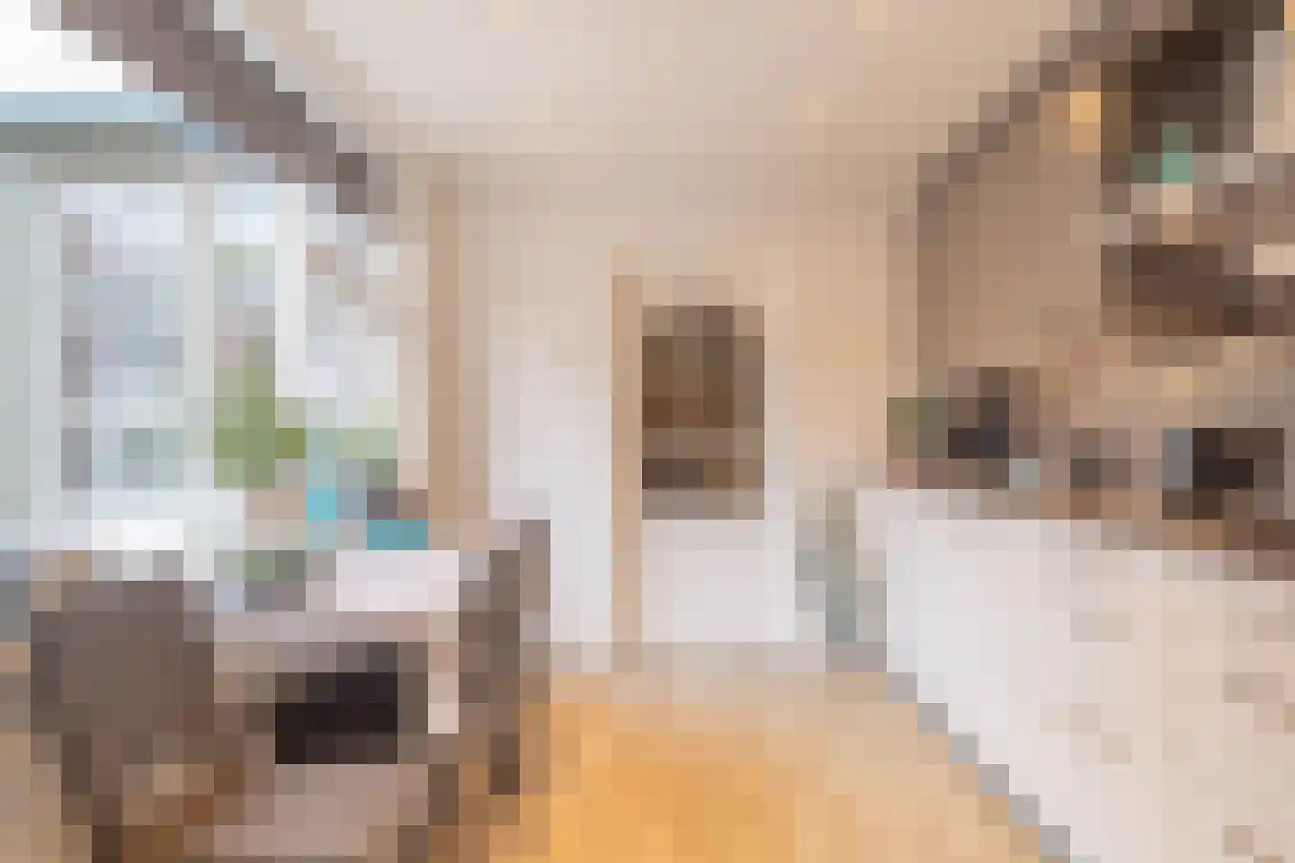 Hartoogstraat 4 Yerseke thumbnail 13