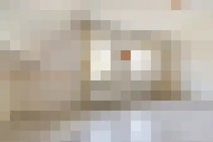 Hartoogstraat 7 Yerseke thumbnail 24