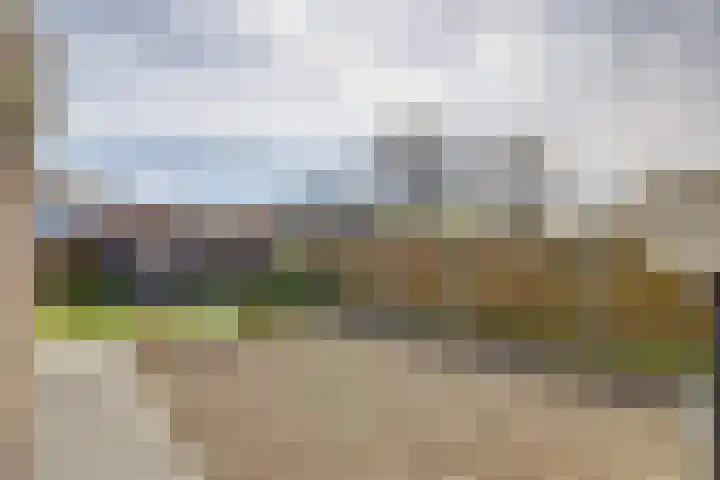 Hartoogstraat 7 Yerseke thumbnail 37