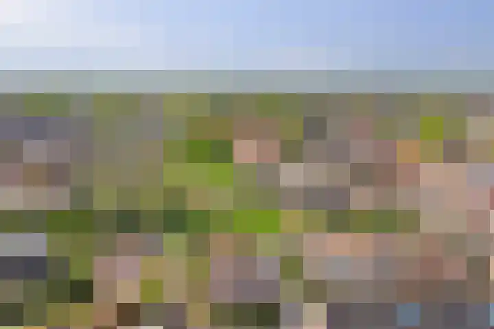 Hartoogstraat 7 Yerseke thumbnail 41