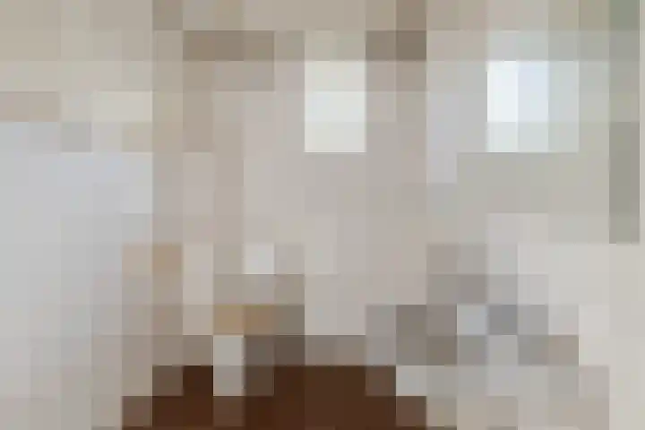 Hartschelp 10 Diemen thumbnail 11