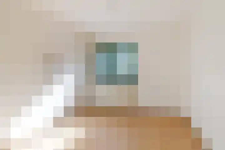 Hartschelp 10 Diemen thumbnail 13