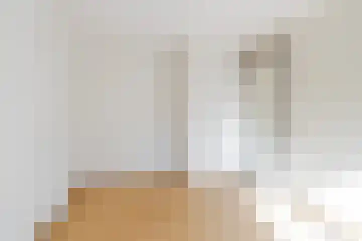 Hartschelp 10 Diemen thumbnail 14