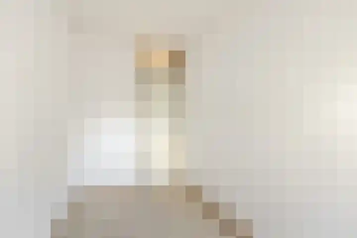 Hartschelp 10 Diemen thumbnail 18