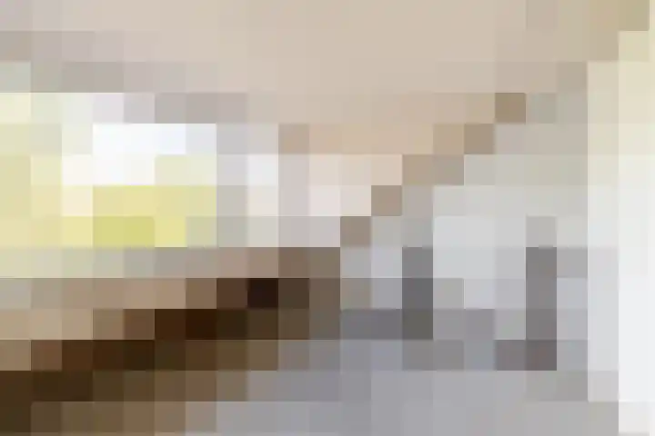 Hartschelp 10 Diemen thumbnail 19