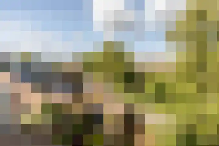Hartschelp 10 Diemen thumbnail 21