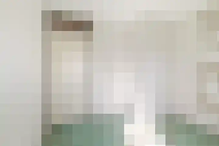 Hartschelp 10 Diemen thumbnail 23