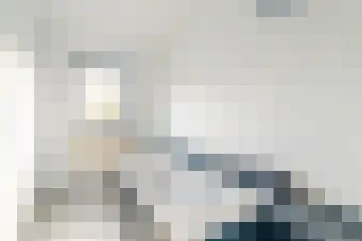 Hartschelp 10 Diemen thumbnail 24