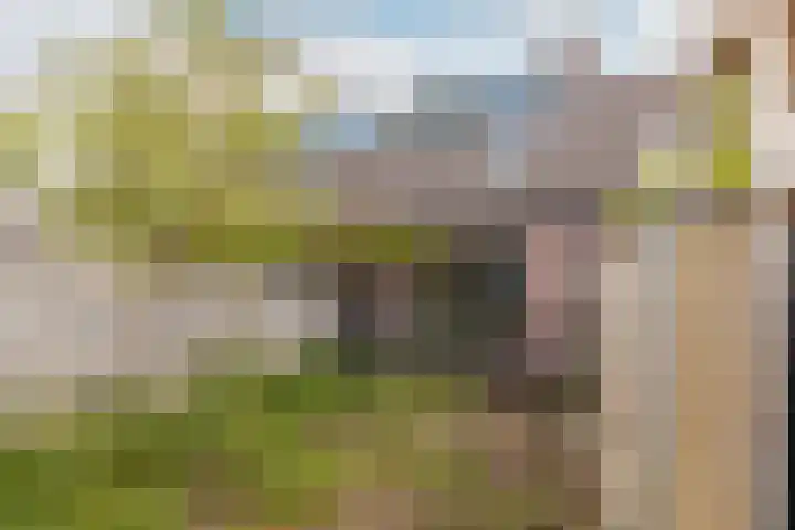 Hartschelp 10 Diemen thumbnail 26