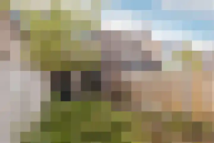 Hartschelp 10 Diemen thumbnail 27