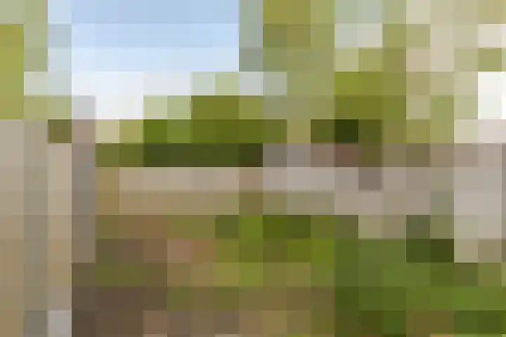 Hartschelp 10 Diemen thumbnail 29