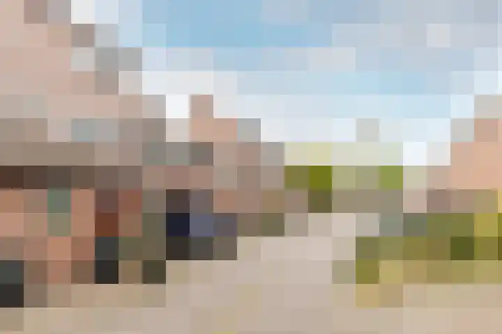Hartschelp 10 Diemen thumbnail 30