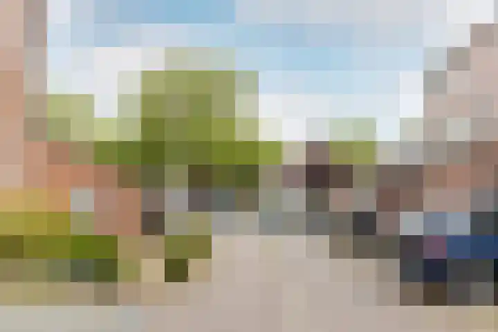 Hartschelp 10 Diemen thumbnail 31