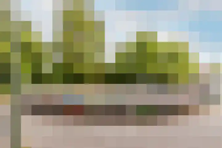 Hartschelp 10 Diemen thumbnail 32